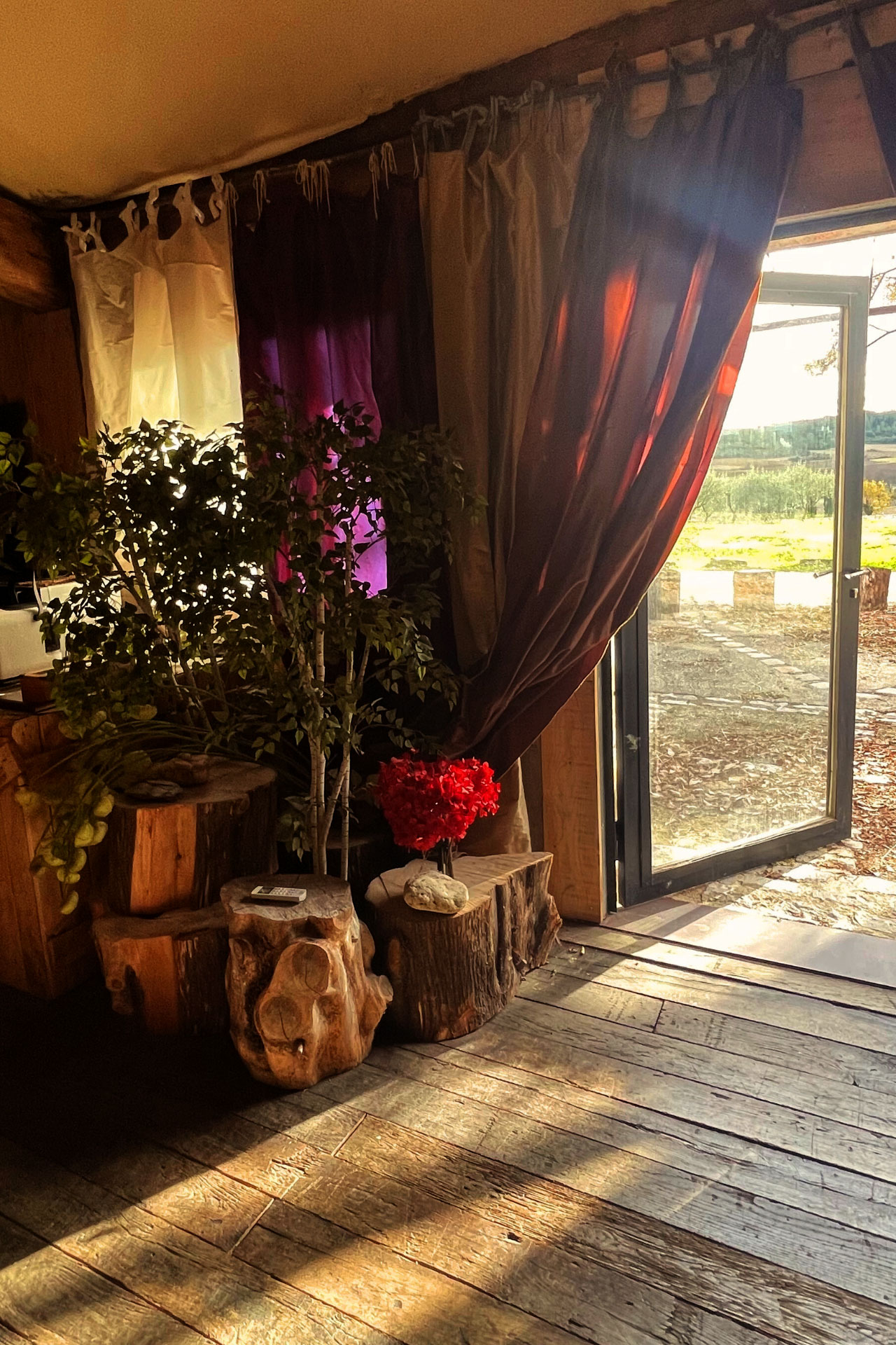 entrée avec rideaux baignés par le soleil de provence et vue sur le domaine pour idéal pour organiser réception